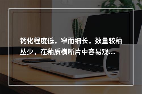 钙化程度低，窄而细长，数量较釉丛少，在釉质横断片中容易观察呈