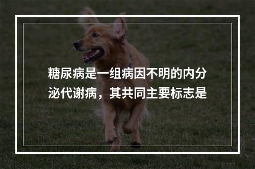 糖尿病是一组病因不明的内分泌代谢病，其共同主要标志是