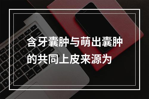 含牙囊肿与萌出囊肿的共同上皮来源为