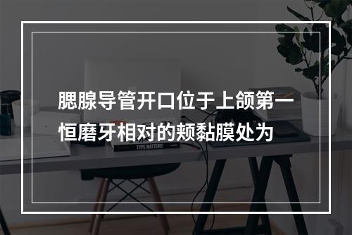 腮腺导管开口位于上颌第一恒磨牙相对的颊黏膜处为