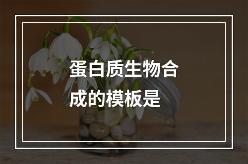 蛋白质生物合成的模板是