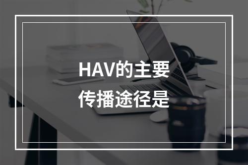 HAV的主要传播途径是