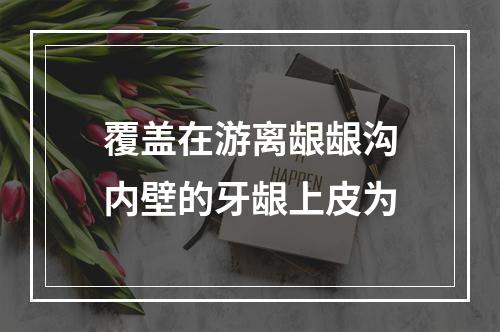 覆盖在游离龈龈沟内壁的牙龈上皮为