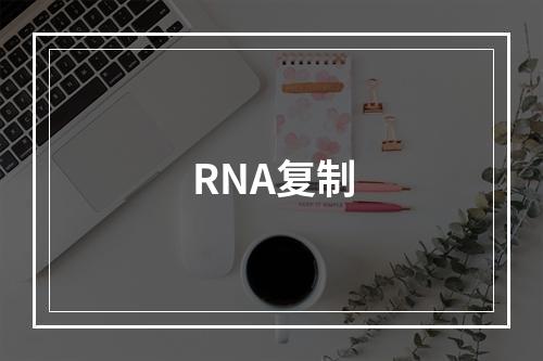 RNA复制