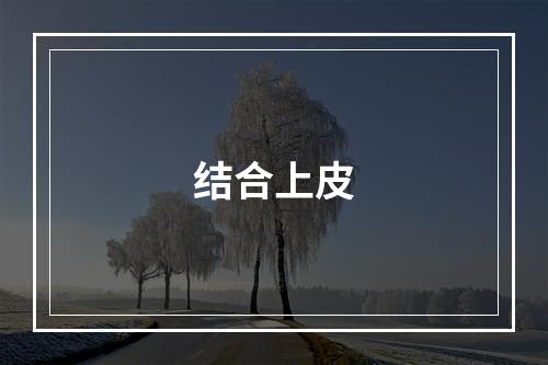 结合上皮