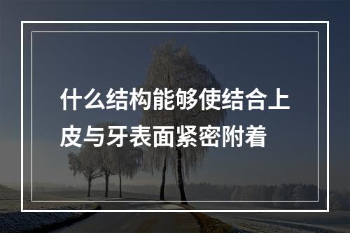 什么结构能够使结合上皮与牙表面紧密附着