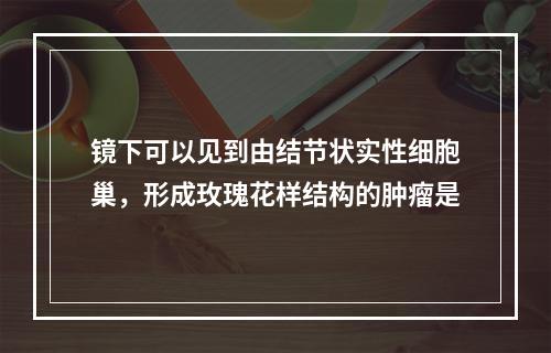 镜下可以见到由结节状实性细胞巢，形成玫瑰花样结构的肿瘤是