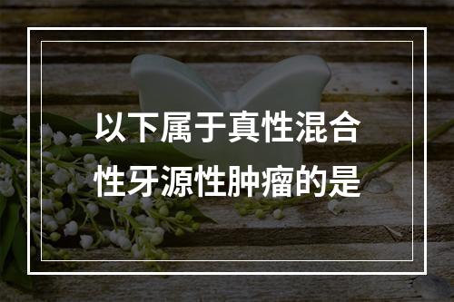 以下属于真性混合性牙源性肿瘤的是