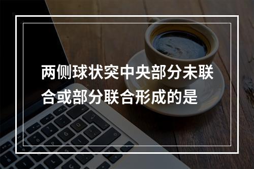 两侧球状突中央部分未联合或部分联合形成的是