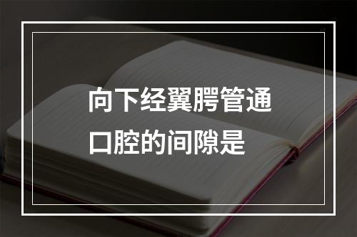 向下经翼腭管通口腔的间隙是