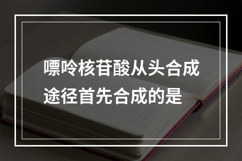 嘌呤核苷酸从头合成途径首先合成的是