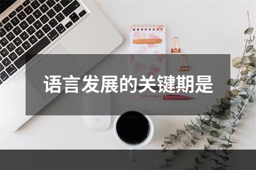 语言发展的关键期是