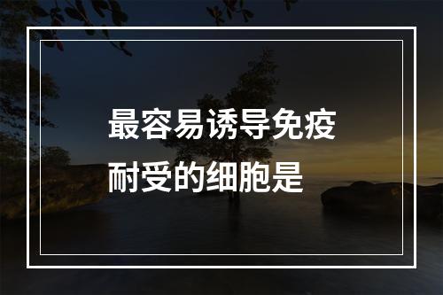 最容易诱导免疫耐受的细胞是