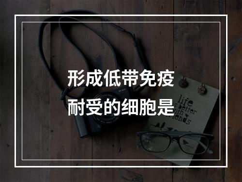 形成低带免疫耐受的细胞是