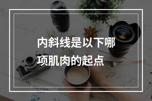 内斜线是以下哪项肌肉的起点