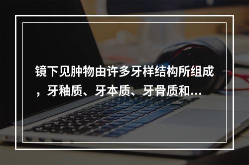 镜下见肿物由许多牙样结构所组成，牙釉质、牙本质、牙骨质和牙髓