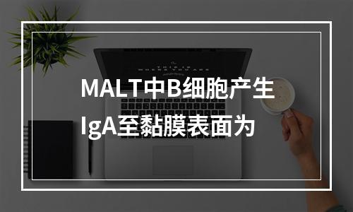 MALT中B细胞产生IgA至黏膜表面为