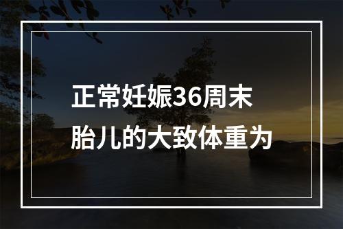 正常妊娠36周末胎儿的大致体重为