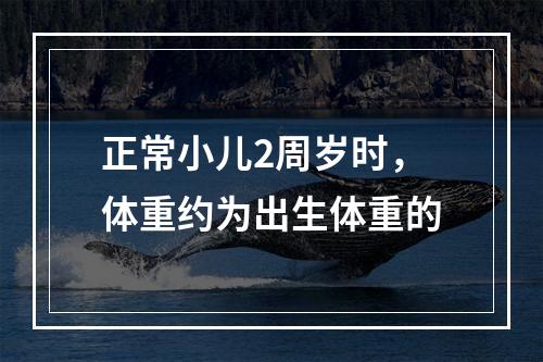 正常小儿2周岁时，体重约为出生体重的