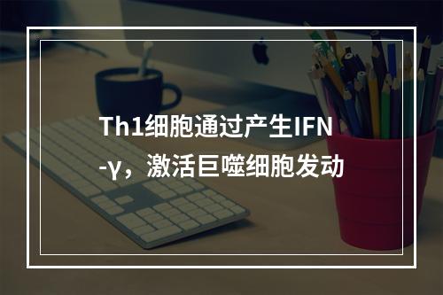 Th1细胞通过产生IFN-γ，激活巨噬细胞发动