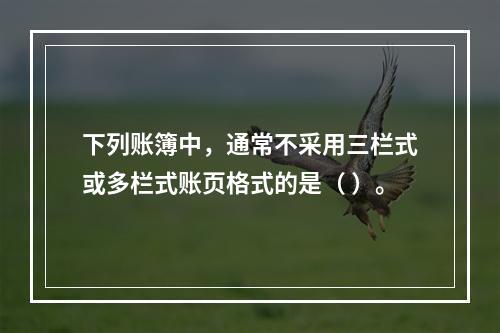 下列账簿中，通常不采用三栏式或多栏式账页格式的是（ ）。