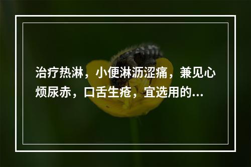 治疗热淋，小便淋沥涩痛，兼见心烦尿赤，口舌生疮，宜选用的药物