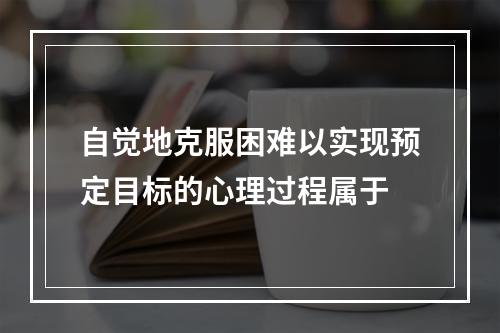 自觉地克服困难以实现预定目标的心理过程属于