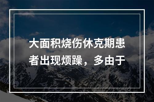 大面积烧伤休克期患者出现烦躁，多由于