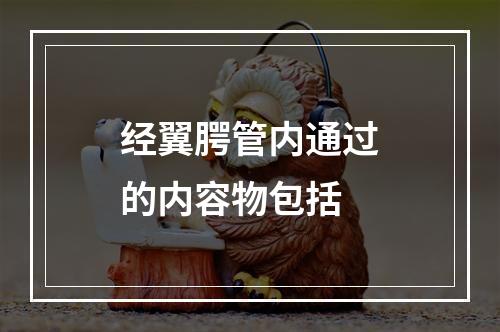 经翼腭管内通过的内容物包括