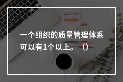 一个组织的质量管理体系可以有1个以上。（）