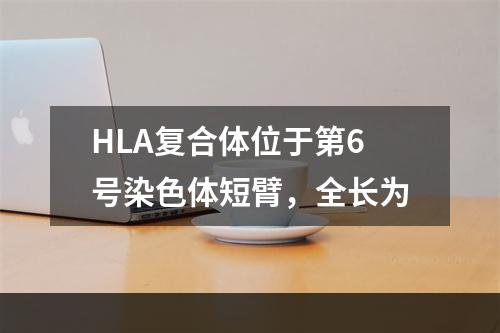 HLA复合体位于第6号染色体短臂，全长为