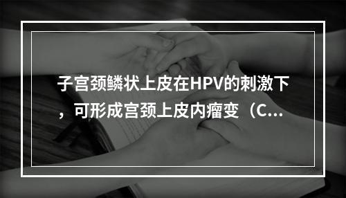 子宫颈鳞状上皮在HPV的刺激下，可形成宫颈上皮内瘤变（CIN