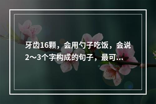 牙齿16颗，会用勺子吃饭，会说2～3个字构成的句子，最可能的