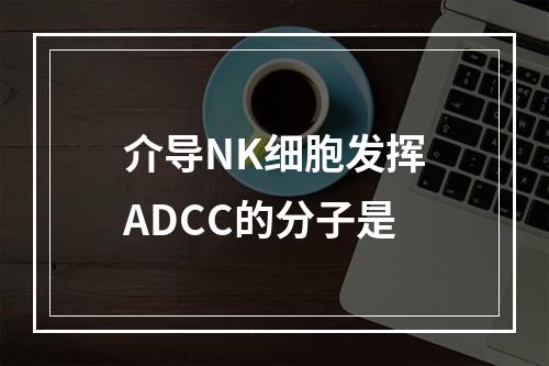 介导NK细胞发挥ADCC的分子是