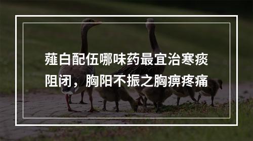 薤白配伍哪味药最宜治寒痰阻闭，胸阳不振之胸痹疼痛