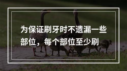 为保证刷牙时不遗漏一些部位，每个部位至少刷