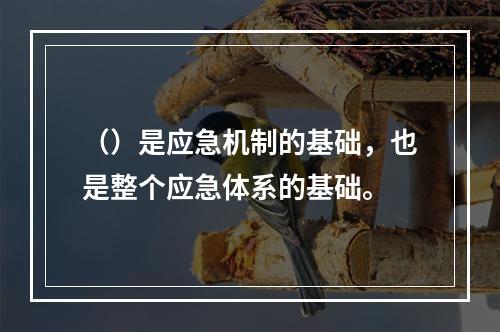 （）是应急机制的基础，也是整个应急体系的基础。