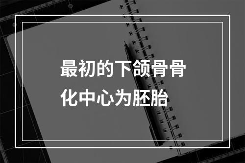 最初的下颌骨骨化中心为胚胎