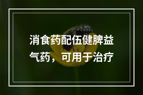 消食药配伍健脾益气药，可用于治疗