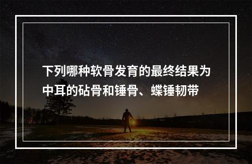 下列哪种软骨发育的最终结果为中耳的砧骨和锤骨、蝶锤韧带