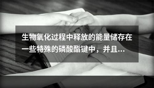 生物氧化过程中释放的能量储存在一些特殊的磷酸酯键中，并且在水