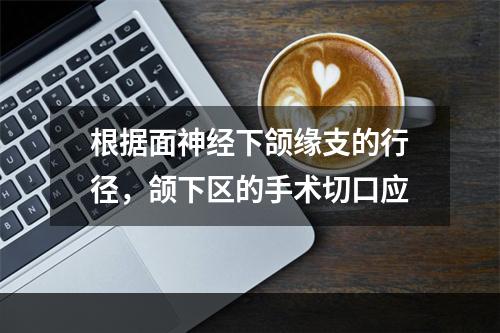 根据面神经下颌缘支的行径，颌下区的手术切口应