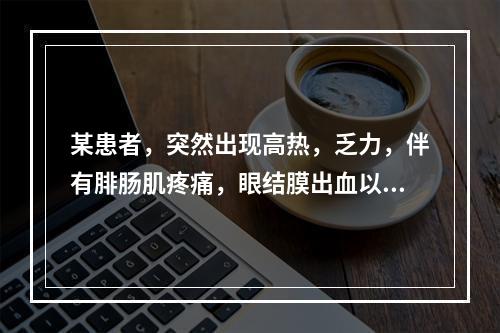 某患者，突然出现高热，乏力，伴有腓肠肌疼痛，眼结膜出血以及淋