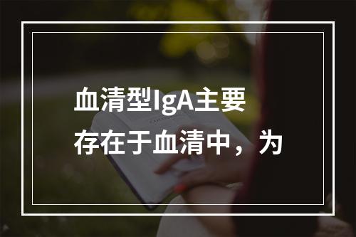 血清型IgA主要存在于血清中，为