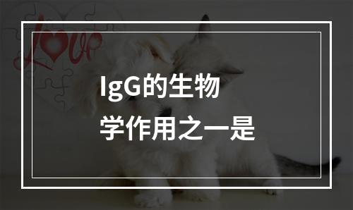 IgG的生物学作用之一是