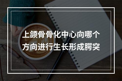 上颌骨骨化中心向哪个方向进行生长形成腭突