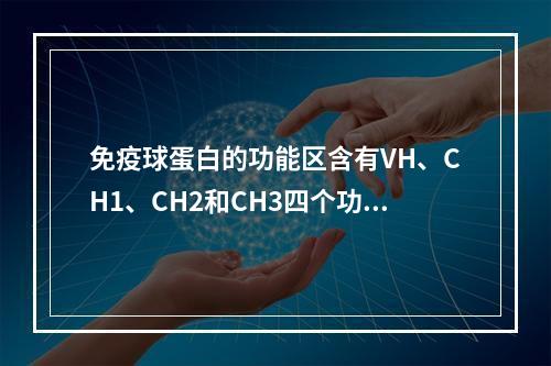 免疫球蛋白的功能区含有VH、CH1、CH2和CH3四个功能区