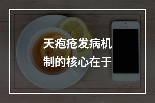 天疱疮发病机制的核心在于