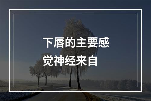 下唇的主要感觉神经来自