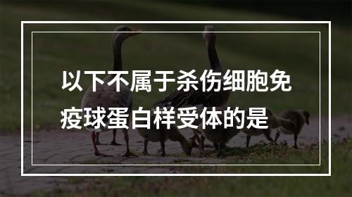 以下不属于杀伤细胞免疫球蛋白样受体的是